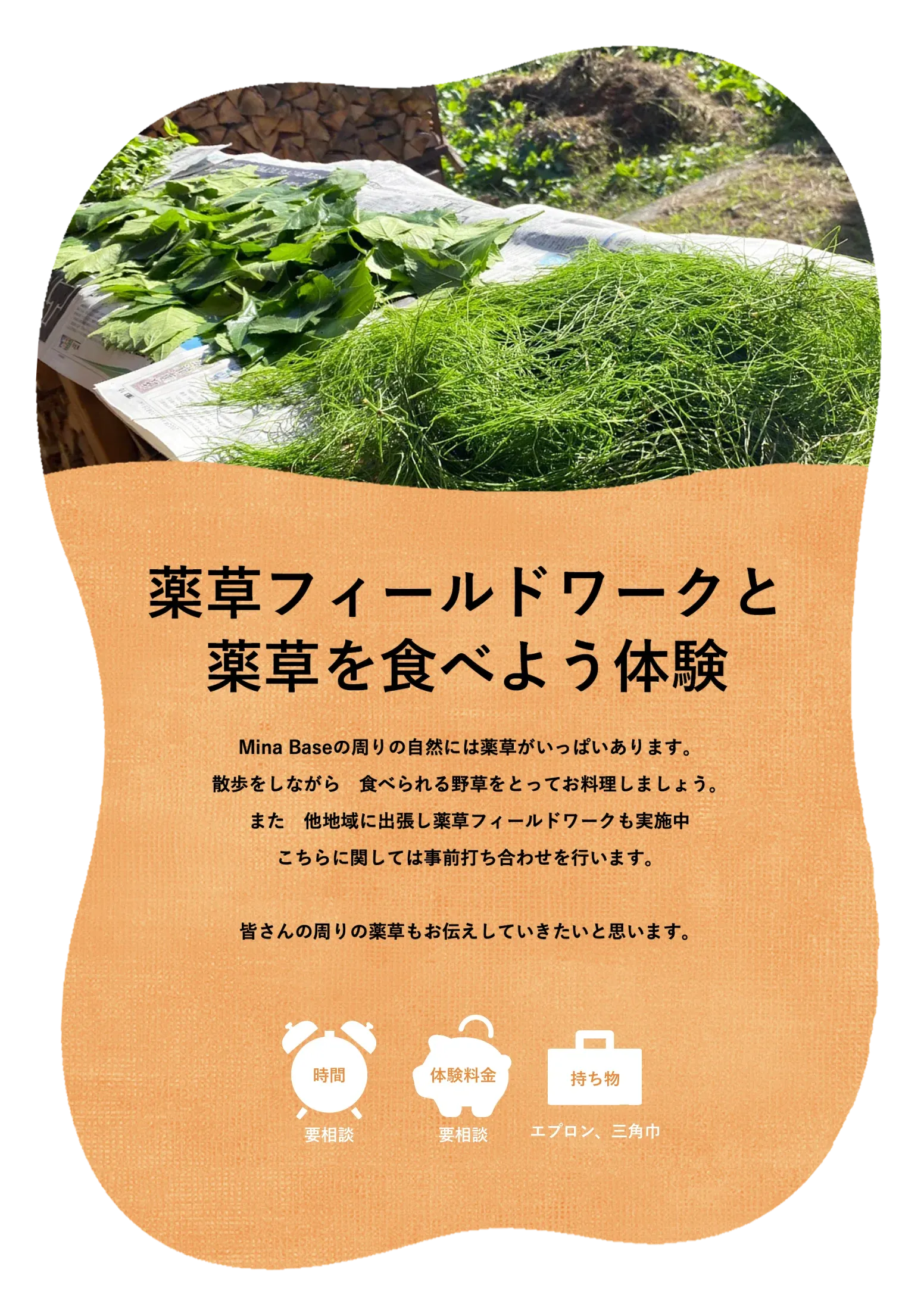 薬草フィールドワークの詳細画像（スマホ版）