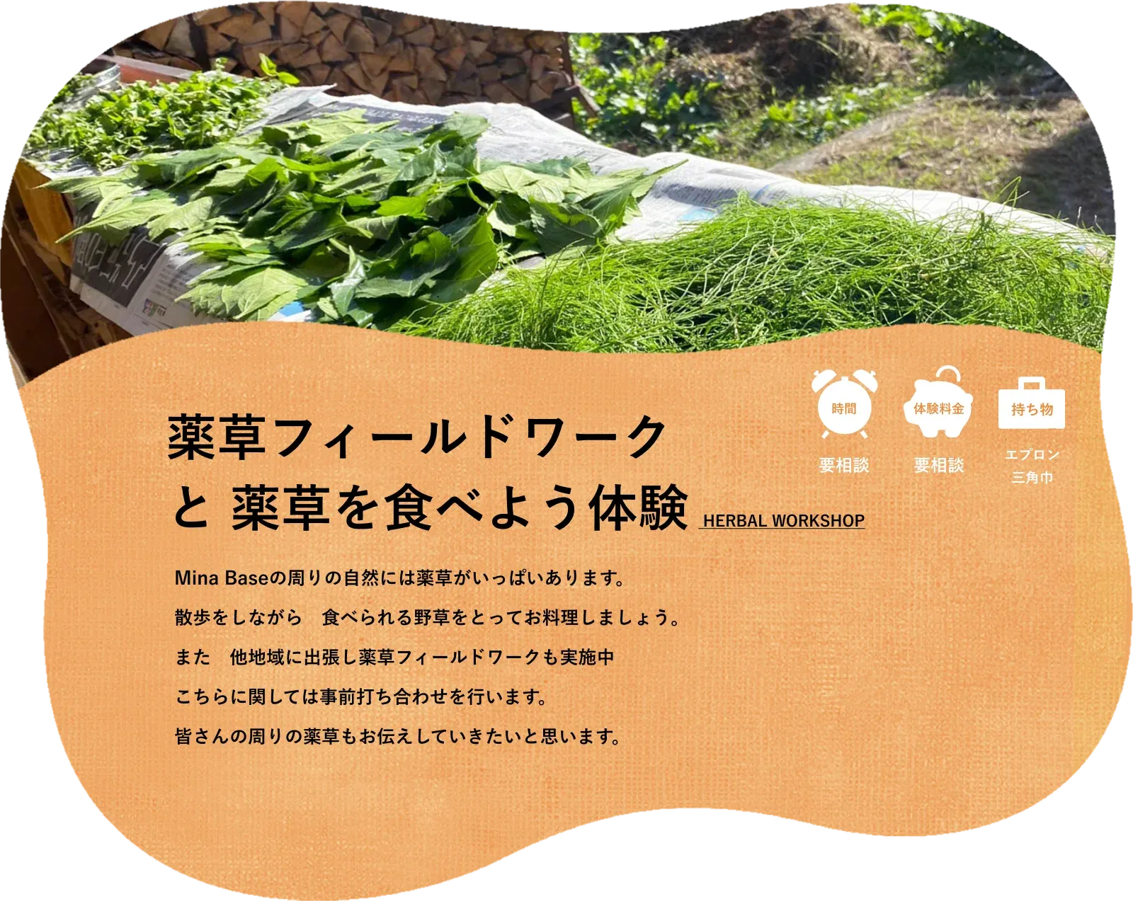 薬草フィールドワークの詳細画像